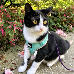 Fundraising Page: Mary Stephens